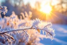 winter-solstice-2025-longest-night-science-explanation