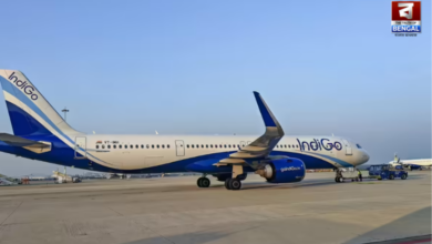 indigo flight cancellations