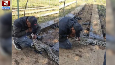 python cpr rescue