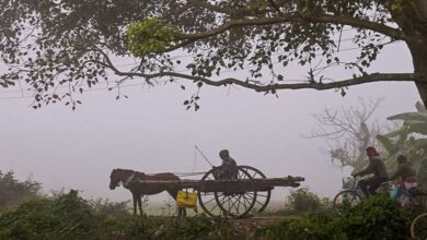 west-bengal-winter-update-christmas-coldest-day-2025