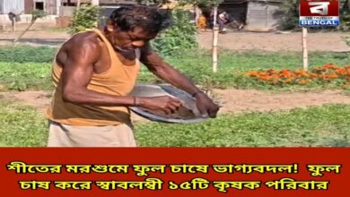 a-change-of-fortune-through-flower-cultivation-in-the-winter-season-fifteen-farming-families-have-become-self-reliant-by-cultivating-flowers-on-approximately-30-bighas-of-land