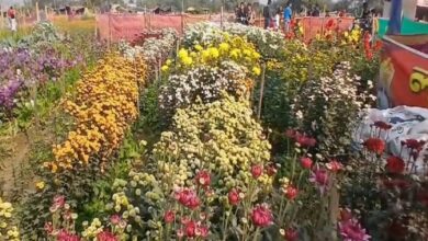 kshirai-bengals-valley-of-flowers-is-now-a-hotspot-for-tourists