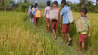 in-the-country-44-percent-of-children-and-adolescents-drop-out-of-school-to-support-their-families