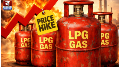 commercial lpg price
