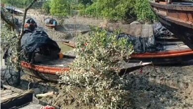 a-fisherman-was-attacked-by-a-tiger-while-fishing-in-the-sundarbans