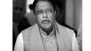 mukul-roy-at-a-glance