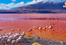 lake natron