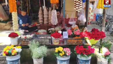 rose sales