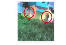 police-swing-into-action-on-the-commissions-orders-fir-lodged-in-diamond-harbour-against-a-bike-borne-squad-for-intimidating-voters