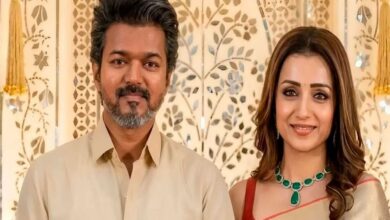 vijay-victory-tamil-nadu-assembly-election-results-tvk