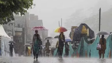 rainfall-to-intensify-in-north-bengal-heavy-rain-forecast-for-5-districts