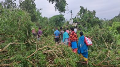 tapan-storm-damage-south-dinajpur-trees-block-roads