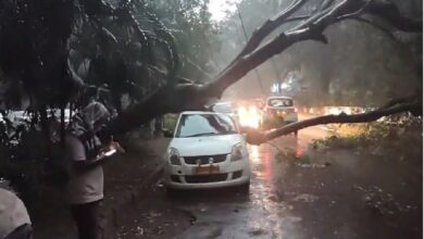 kolkata-weather-kalbaishakhi-storm-disrupts-train-flight-services