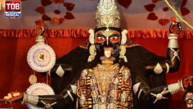 naihati boro maa