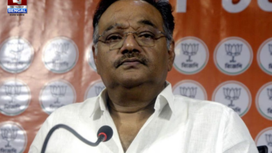 shamik bhattacharya