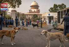 supreme court