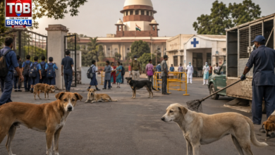 supreme court