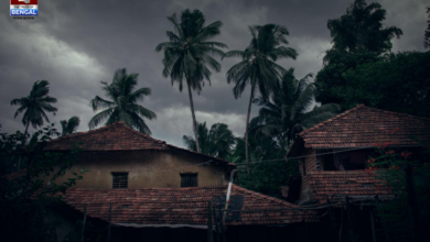 weather