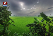 weather