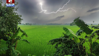 weather