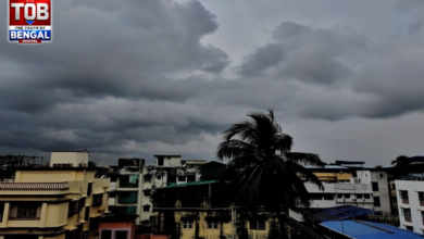 weather