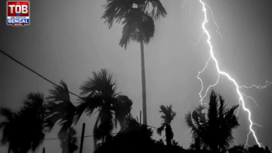 weather
