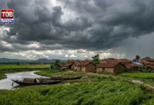 weather