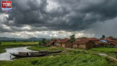 weather