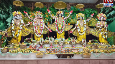 iskcon-mayapur-panihati-chida-dahi-mahotsav-celebration