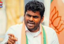 K annamalai