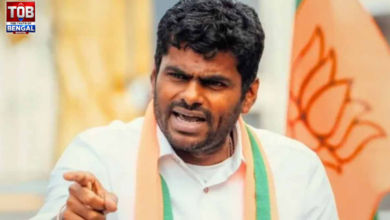 K annamalai