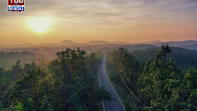 sutan-forest-bankura-monsoon-travel-offbeat-destination