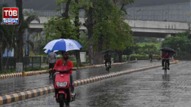 weather