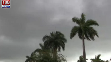 weather