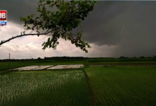 Weather