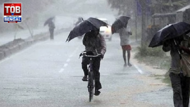 weather