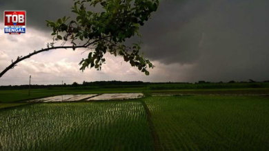 Weather