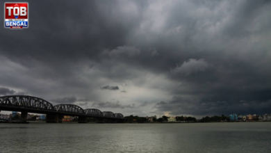 weather