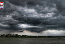 weather
