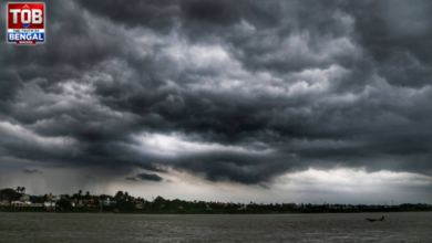 weather