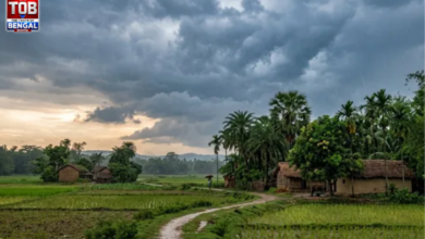 weather