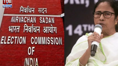 mamata-banerjee-letter-election-commission-trinamool-symbol