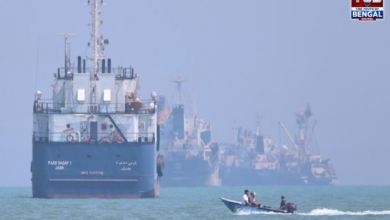 iran-strait-of-hormuz-shipping-service-fee