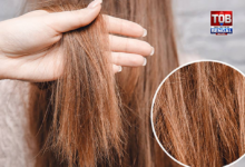 aloe-vera-for-hair-care-summer-hair-loss-benefits