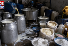Synthetic milk