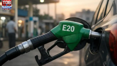 e20 petrol