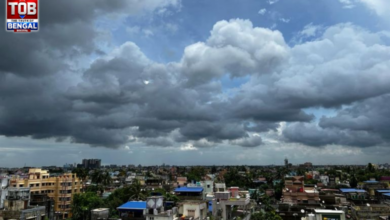 weather