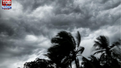 weather