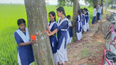 balurghat-school-students-tie-rakhi-to-trees-promoting