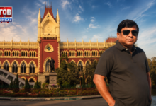 Tulu Mondal